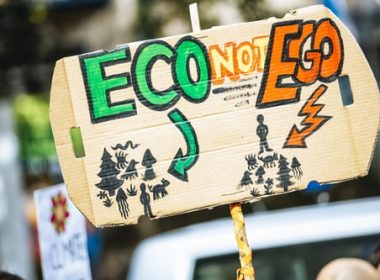 eco not ego