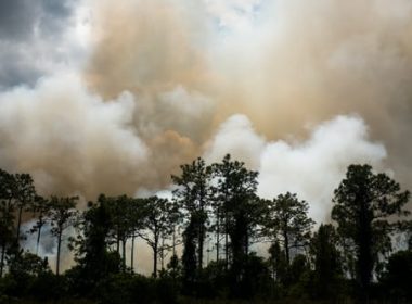 wild fire in irvine